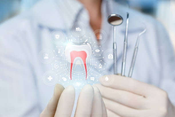 Professional Dental Services in Blanchard, LA